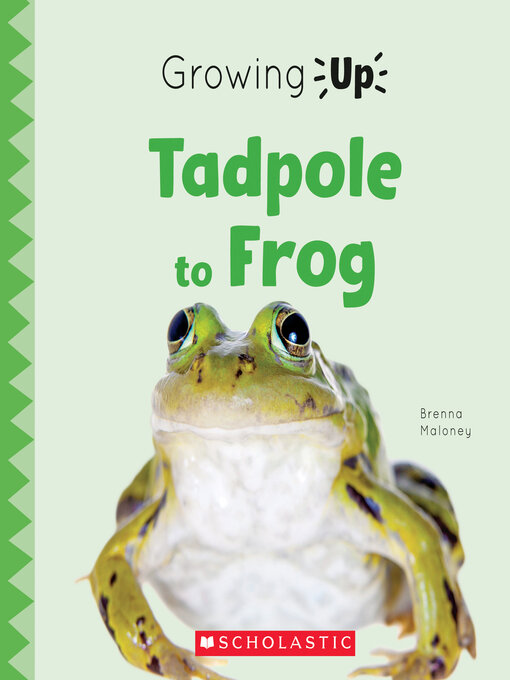Title details for Tadpole to Frog by Brenna Maloney - Available